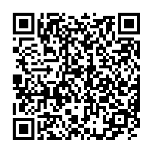 甚至就连刚刚争夺拍卖品失败的事情也没有对他的人气产生任何影响二维码生成