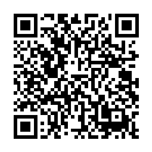 甚至就连掌握的暴食规则之力都与那位暴食君主一模一样二维码生成