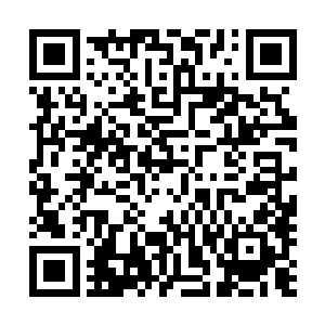 甚至就连楚旬等人也纷纷被这璀璨而可怕的能量狂潮所吞没二维码生成