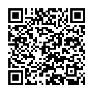 甚至已经把后续一系列抹黑梦公司的稿子都给准备好了二维码生成