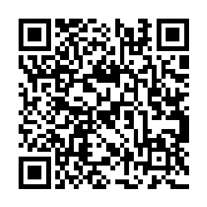 甚至我最早入门级的帮人找家畜的本事儿也用上了二维码生成