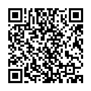 甚至执法长老还以为两人会脚上其他八个在海澜府的化神期修士二维码生成