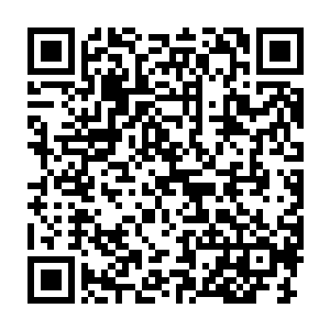 甚至提议让华夏九将第一道子身份令牌以及他自己的赌注当场拿出来二维码生成