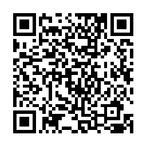 甚至是一般的家族全力的培养都不一定能够培养的出来二维码生成