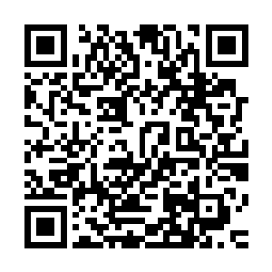甚至是兴奋……暴雨梨花的修复程度一点也不逊色于孔雀翎的二维码生成