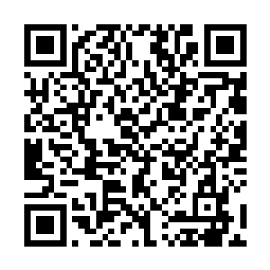 甚至是到了这传说是凤幽萝的专属祖宗辈的梧桐树面前二维码生成