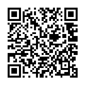 甚至是怀上孩子的大致时间……全都是其在暗中操控着的二维码生成