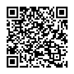 甚至是让人升不起半点反抗情绪的恐怖威压也随之出现二维码生成