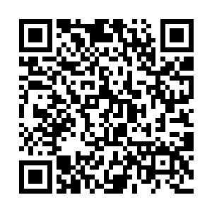 甚至是陆氏和一些相熟的贵妇们举办私密聚会的场所二维码生成