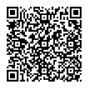 甚至比一些男人负责的生意收益还要更大一些――将家没办法直接把我母亲推出去二维码生成