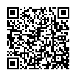 甚至比灵药还要更加的稀少……在这个小昆仑界中二维码生成