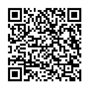 甚至没有发表对终极对决首周的不可思议发表任何看法二维码生成
