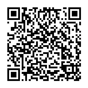 甚至演化出了高达二三十米的笨拙身躯来消化食物和运转冰冷的血液二维码生成