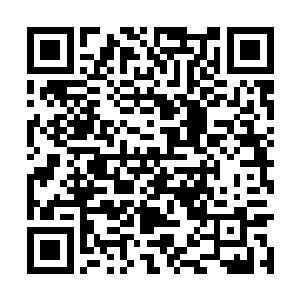 甚至给许多选民一种女性做总统不值得信任的错觉二维码生成