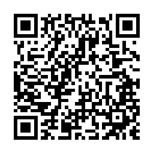 甚至自己都会有种成了和周蕊一起的同案犯的感觉二维码生成