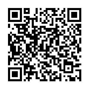 甚至若非是本命玄兽展翼雕不计生死地与自己纠缠二维码生成