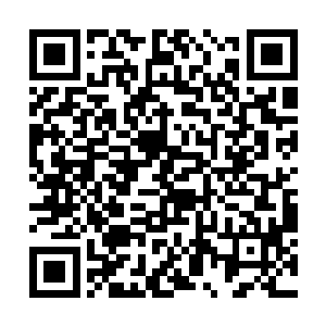 甚至让他厚着脸皮去抢下这个弟子都不是问题的……二维码生成