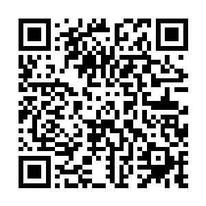 甚至让我曹家成为凌驾于仅次于皇室之后的天下第一世家二维码生成