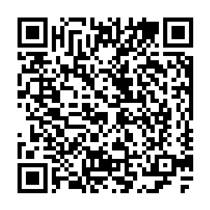 甚至跟楚旬等人一路上见到的那些阴灵之城相比都已经算得上是一座小城了二维码生成