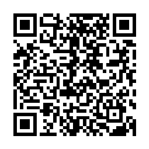 甚至还叫上了第二殿殿主安尔纳一同前往灭魂之地内进行探查二维码生成