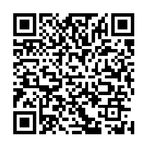 甚至还差一点反杀了洪荒神象虚影的……即便没能反杀成功二维码生成