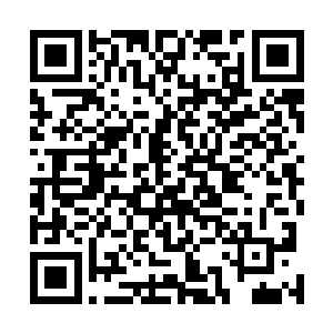 甚至还说了一句违反犯罪的行为必须要以既有法律来界定二维码生成