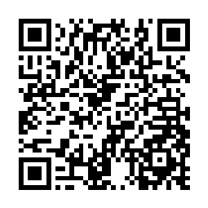 甚至这种气息他们只有在宗门的使者的身上感受过二维码生成