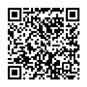 甚至连个正经的工作都没有……你也别怪阿姨说话直白和物质二维码生成