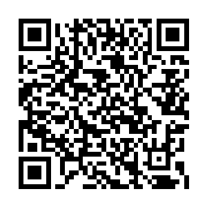 甚至连毒抗能力超强的变异虫族都根本无法抵挡二维码生成