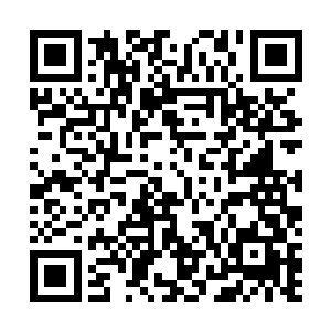 甚至连没什么关系的耶律野和耶律泓也跟着去凑了个热闹二维码生成