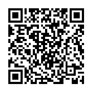 甚至连芯片都检测到雷林的血脉基因已经达到了上限二维码生成