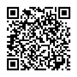 甚至那四条腿也不再是一个模子里的细长鹿腿的模样二维码生成