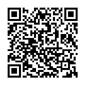 甚至都说不上是作弊……如果是珍妮弗和娜塔莉二维码生成