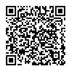 生命树也不至于会沦落到这个样子……记得我最后一次看到它的时候二维码生成