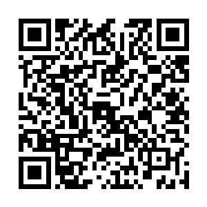 生怕一对女儿在你面前不讨好又受我虐待没办法活下去二维码生成