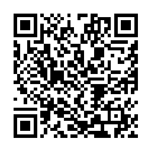 生怕惹恼了这位帮里地位仅次于老帮主和肖锵的大客卿二维码生成