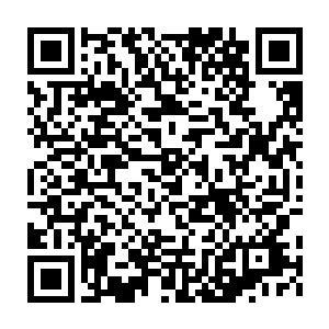 生怕璐璐在打完f4以后就跑了的姿态当然不可能等酒桶赶到以后再动手二维码生成