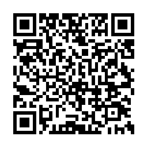 生活在地表城市里的居民活不活得下去尚未可知二维码生成