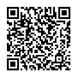 生物教室是他们迄今为止所进入过的最小的一个房间二维码生成