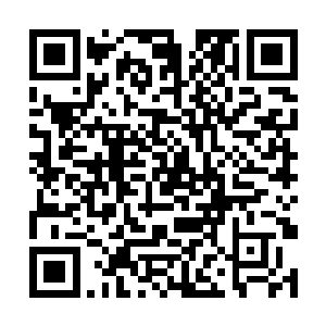 生鱼片和条形码可能也不会使出这种近乎阴招的战术二维码生成
