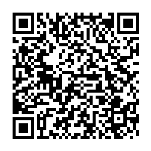 用一种类似取巧的手段将纯阳关所在的虚空炼化成类似天地珠的存在二维码生成