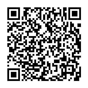 用了不到五息的时间除了刘海之外的那些侍卫都倒在地上不断的呻二维码生成