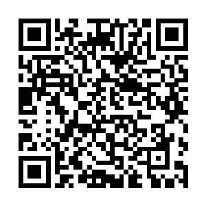 用他们第二弱的人来消耗第一男子军校最强的机甲师二维码生成