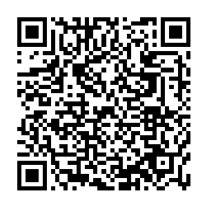 用全宇宙只剩下三棵的生命树的树叶纤维编制而成的布料裁剪出来的衣物二维码生成