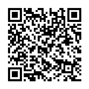 用只有她和扎德――也许还有切萨雷听得到的音量二维码生成