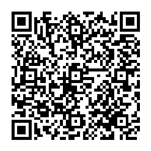 用嘴相互啄着似乎是鲜艳的鸟从嘴里吐出了虫子还是什么的然后被灰色的鸟叼走了二维码生成