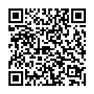 用夏氏集团现在账面上能用的所有流动资金去周转二维码生成