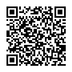 用她那几乎富可敌国的财产去做一场没有目的的旅途二维码生成