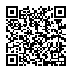 用比妮娜快十几倍的速度一下就抓了四五条鱼上岸二维码生成