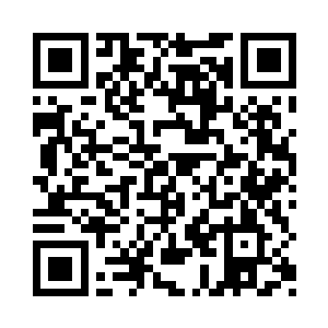 用神识模拟伪装出来的认主手段也能镇压住二维码生成